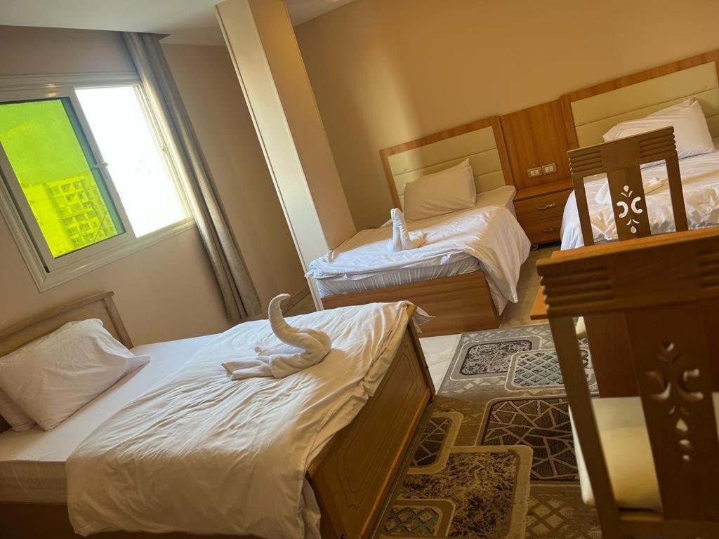 Grand Pyramids View Hotel Kaherah Luaran gambar